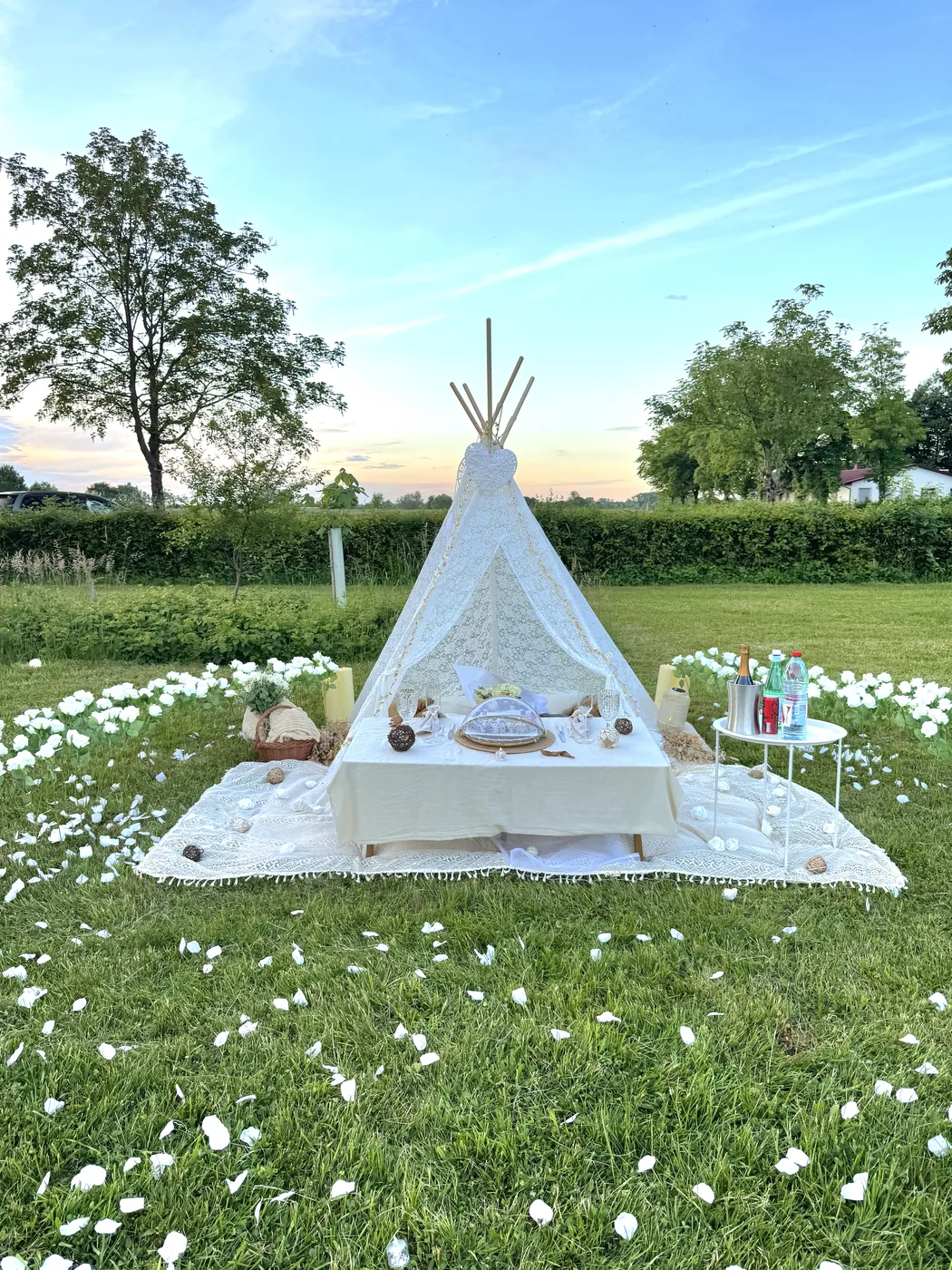 Pique-nique romantique sur l'herbe — photo 6