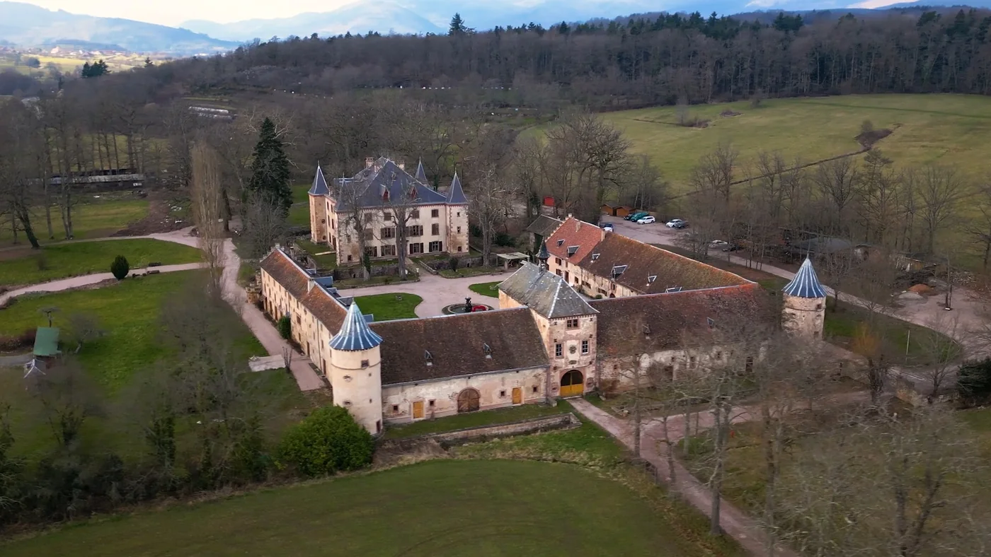 La Promesse : Mise en scène romantique avec privatisation dans un château — demande en mariage à Strasbourg